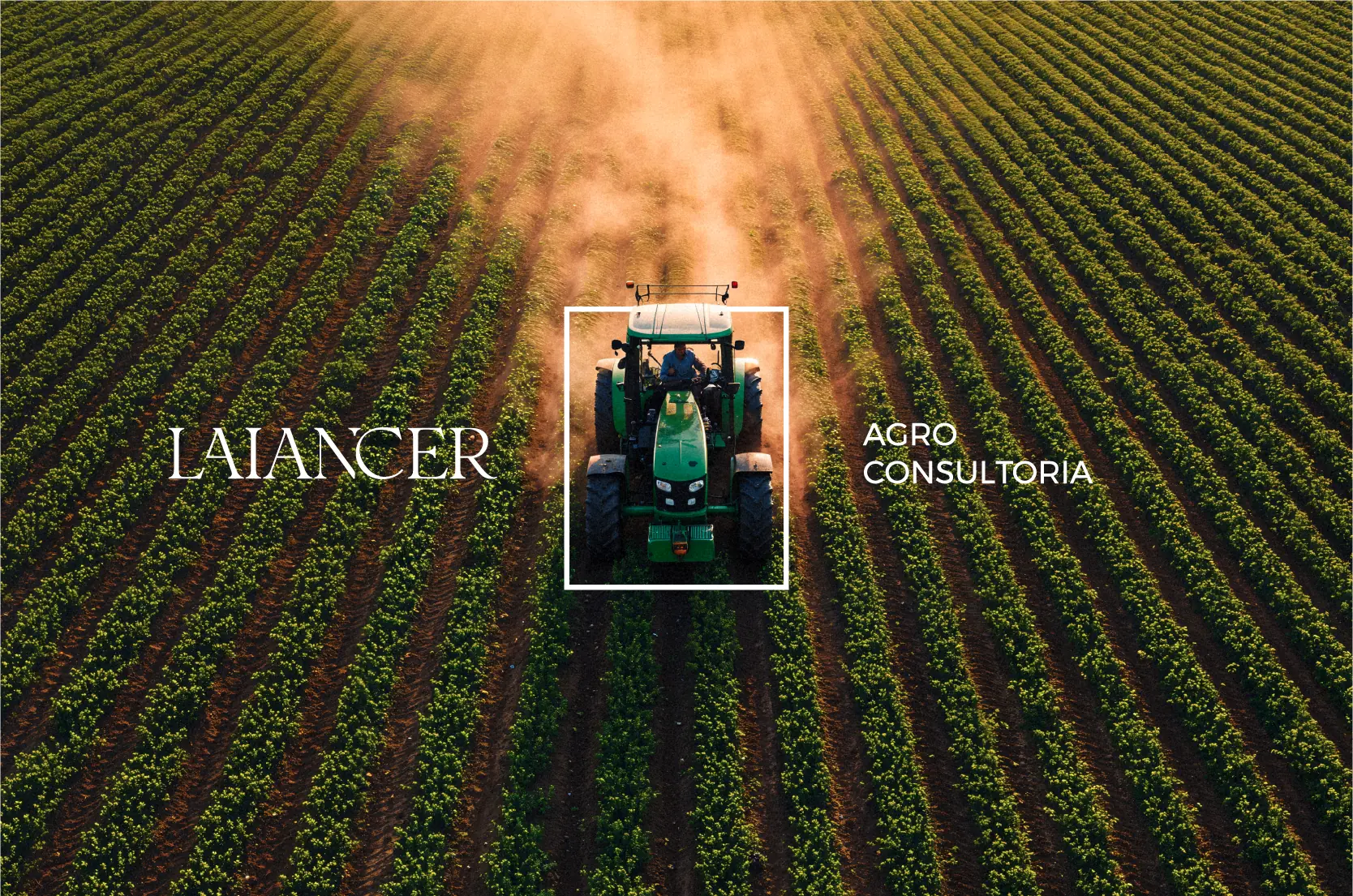 Laiancer — capa do projeto
