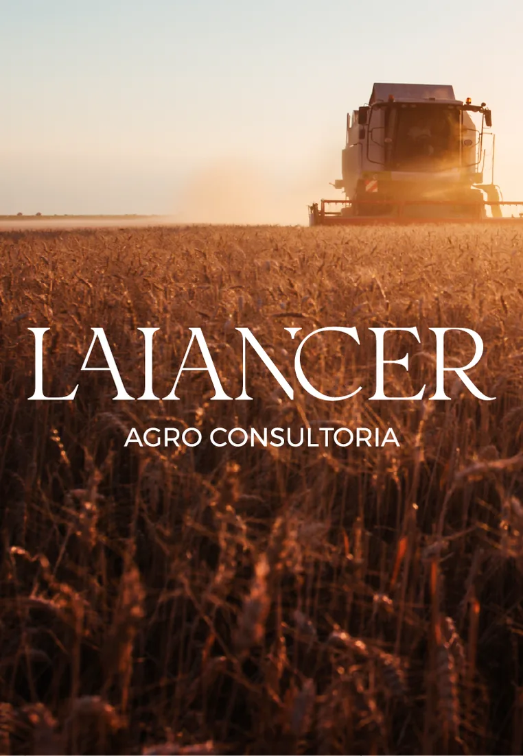 Laiancer